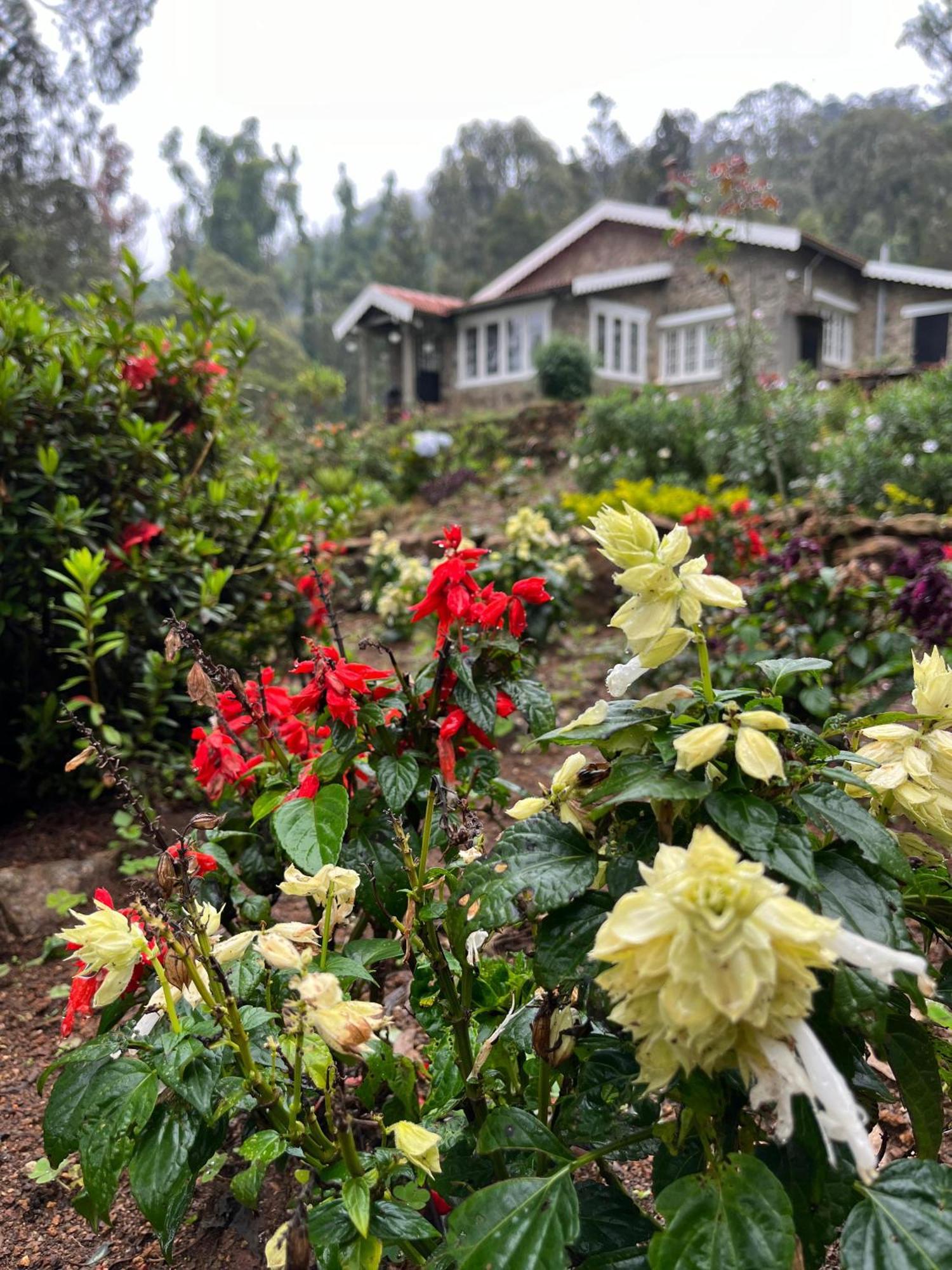 Springdale Villa Tamilnadu - Tamilnadu - Kodaikanal Exterior foto