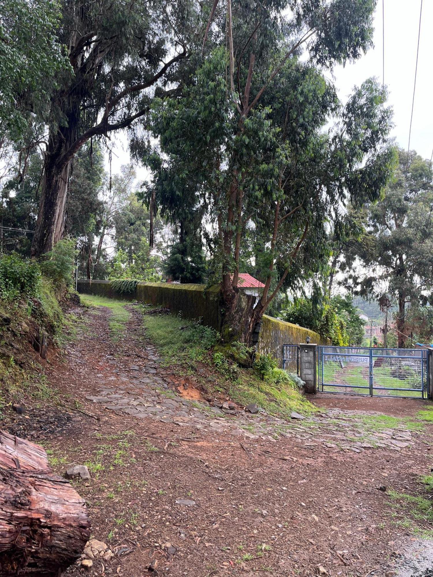 Springdale Villa Tamilnadu - Tamilnadu - Kodaikanal Exterior foto