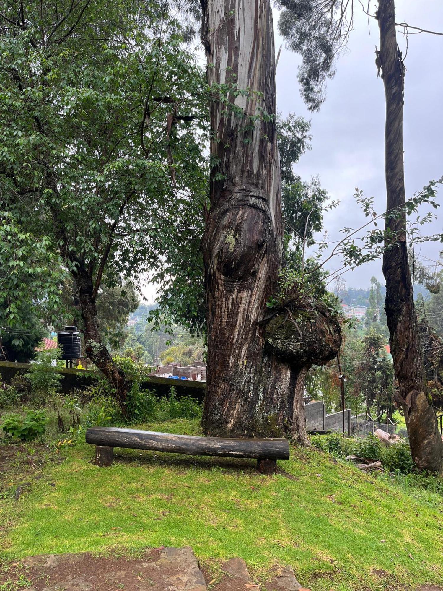Springdale Villa Tamilnadu - Tamilnadu - Kodaikanal Exterior foto